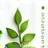 Logo EcoloGreen